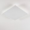 Plafonnier Antria LED Blanc, 1 lumière