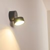 Applique murale d'extérieur Schelde LED Anthracite, 1 lumière