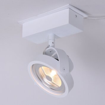 Spot Steinhauer Mexlite LED Blanc, 1 lumière