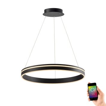 Suspension Paul Neuhaus Q-VITO LED Anthracite, 1 lumière, Télécommandes