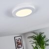 Plafonnier Siguna LED Blanc, 1 lumière