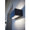 Applique murale d'extérieur LED Lutec Anthracite, 1 lumière