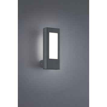 Applique murale d'extérieur Trio RHINE LED Anthracite, 2 lumières