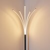 Lampadaire Bakersfield LED Noir, Blanc, 1 lumière