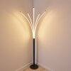 Lampadaire Bakersfield LED Noir, Blanc, 1 lumière