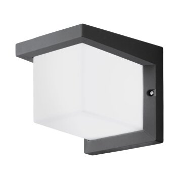 Lampe murale d'extérieur Eglo DESELLA 1 LED Anthracite, 1 lumière