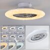 Ventilateur de plafond Petrovac LED Chrome, Blanc, 1 lumière, Télécommandes