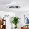 Ventilateur de plafond Petrovac LED Chrome, Blanc, 1 lumière, Télécommandes