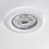 Ventilateur de plafond Petrovac LED Chrome, Blanc, 1 lumière, Télécommandes