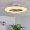 Ventilateur de plafond Petrovac LED Chrome, Blanc, 1 lumière, Télécommandes