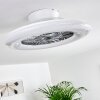 Ventilateur de plafond Petrovac LED Chrome, Blanc, 1 lumière, Télécommandes