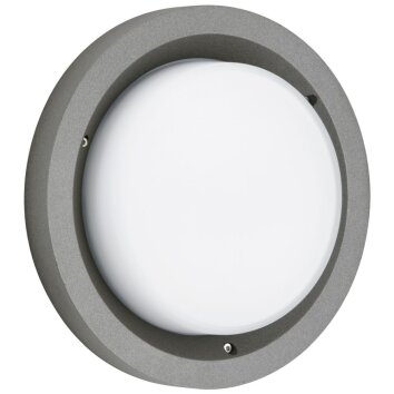 Plafonnier d'extérieur Albert 6410 LED Anthracite, 1 lumière