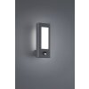 Applique murale d'extérieur Trio RHINE LED Anthracite, 2 lumières, Détecteur de mouvement