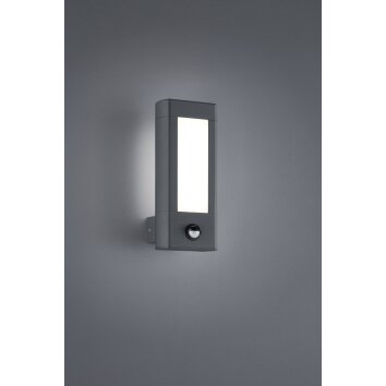 Applique murale d'extérieur Trio RHINE LED Anthracite, 2 lumières, Détecteur de mouvement