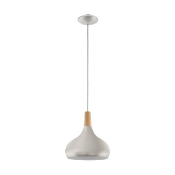 Suspension Eglo SABINAR Acier inoxydable, Argenté, 1 lumière