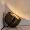 Lampe à poser Bluestone Acier brossé, 1 lumière