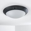 plafonnier extérieur Grafton Anthracite, 2 lumières