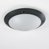 plafonnier extérieur Grafton Anthracite, 2 lumières