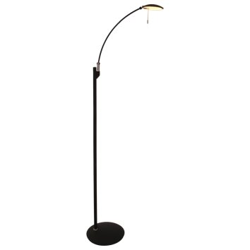 Lampadaire Steinhauer Zenith LED Noir, 1 lumière