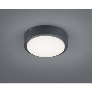 Applique murale Trio BREG LED Anthracite, 1 lumière