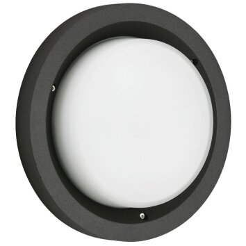 Plafonnier d'extérieur Albert 6410 LED Noir, 1 lumière