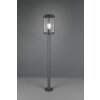 Borne lumineuse Trio Tanaro Anthracite, 1 lumière