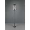 Borne lumineuse Trio Tanaro Anthracite, 1 lumière