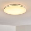 Plafonnier Genthin LED Blanc, 1 lumière