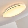 Plafonnier Genthin LED Blanc, 1 lumière