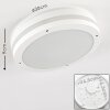 plafonnier extérieur Wollongong LED Blanc, 1 lumière