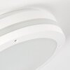 plafonnier extérieur Wollongong LED Blanc, 1 lumière