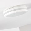 plafonnier extérieur Wollongong LED Blanc, 1 lumière