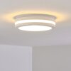 plafonnier extérieur Wollongong LED Blanc, 1 lumière