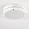 plafonnier extérieur Wollongong LED Blanc, 1 lumière