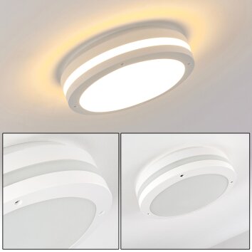 plafonnier extérieur Wollongong LED Blanc, 1 lumière