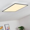 Plafonnier Salmi LED Gris, Blanc, 1 lumière