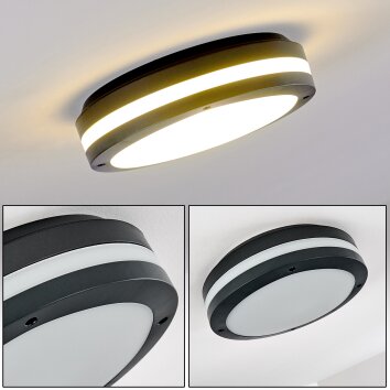 plafonnier extérieur Wollongong LED Anthracite, 1 lumière