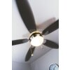 Ventilateur Globo AZURA Nickel mat, 1 lumière