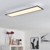 Plafonnier Salmi LED Noir, Blanc, 1 lumière