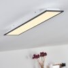 Plafonnier Salmi LED Noir, Blanc, 1 lumière