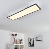 Plafonnier Salmi LED Noir, Blanc, 1 lumière