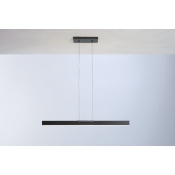 Suspension Bopp NANO LED Anthracite, 2 lumières