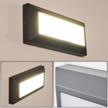 Applique murale d'extérieur Alkmaar LED Anthracite, 1 lumière