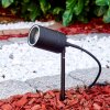 pique de terre Froslev LED Noir, 1 lumière