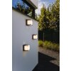 Applique murale d'extérieur Lutec ARMOR LED Anthracite, 1 lumière