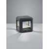 Applique murale d'extérieur Trio LOGONE LED Anthracite, 1 lumière