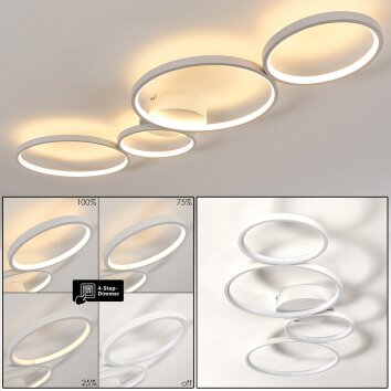 Plafonnier Rodekro LED Blanc, 1 lumière