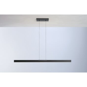 Suspension Bopp NANO LED Anthracite, 2 lumières