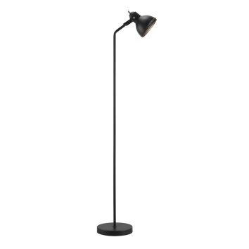 Lampadaire Nordlux ASLAK Noir, 1 lumière