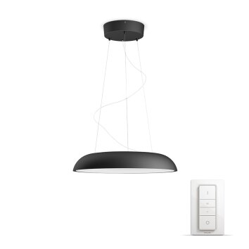 Suspension Philips Hue Ambiance White Amaze LED Noir, 1 lumière, Télécommandes